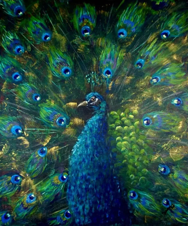 Majestic Peacock